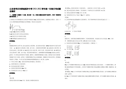 山东省枣庄市薛城奚仲中学2021-2022学年高一生物月考试题含解析