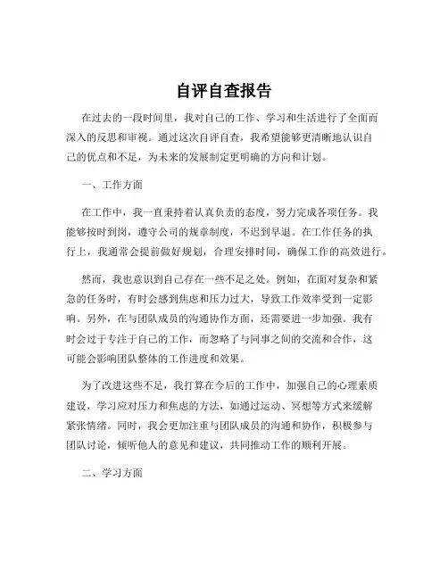 自评自查报告