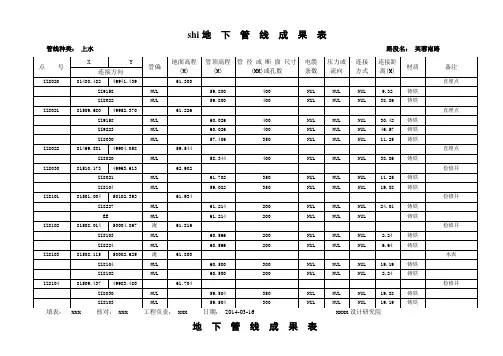 地下管线成果表-上水