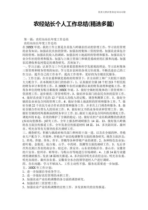 农经站长个人工作总结(精选多篇)