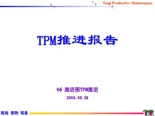 TPM阶段推进报告