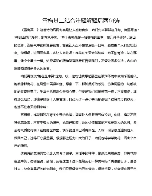 雪梅其二结合注释解释后两句诗
