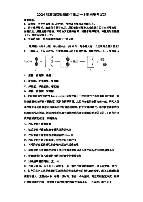 2024届湖南省衡阳市生物高一上期末统考试题含解析