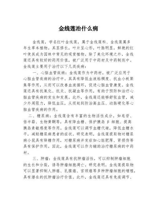 金线莲治什么病