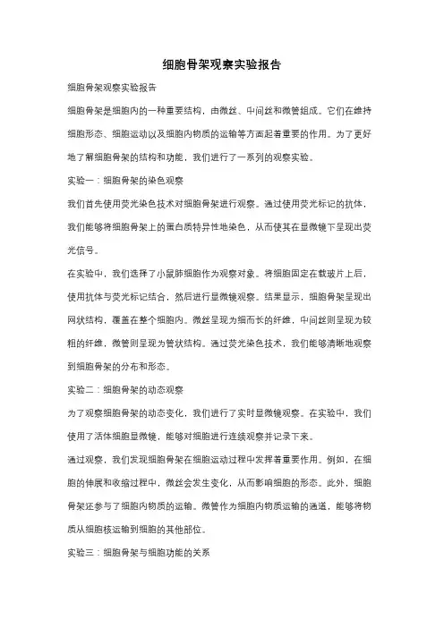 细胞骨架观察实验报告