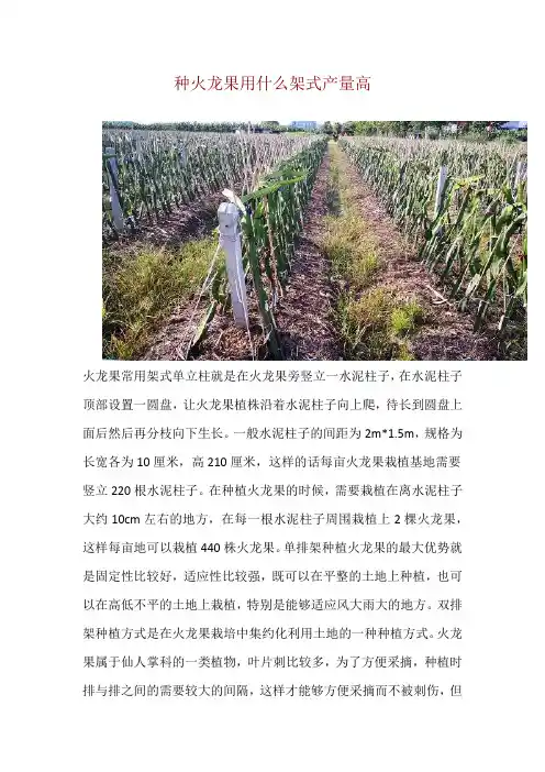 种火龙果用什么架式产量高