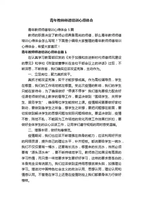 青年教师师德培训心得体会