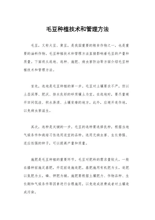 毛豆种植技术和管理方法