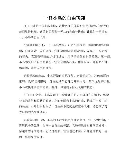 一只小鸟的自由飞翔