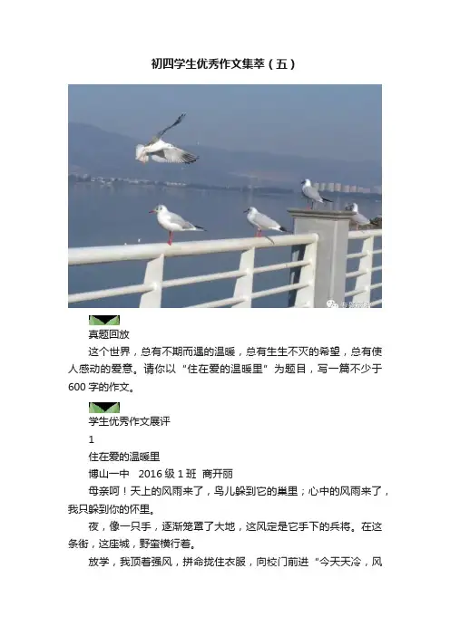 初四学生优秀作文集萃（五）
