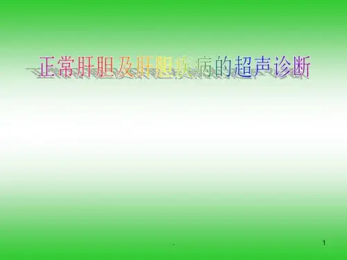 肝胆超声PPT参考课件