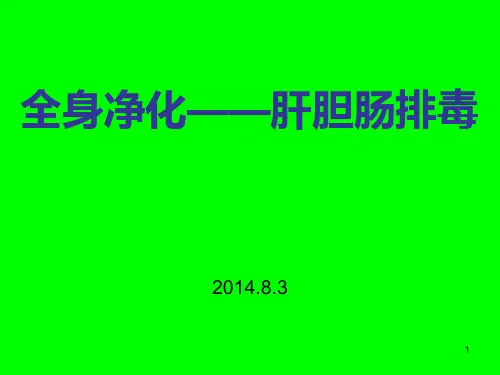 60肝胆肠排毒  副本PPT课件