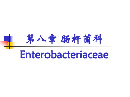 兽医微生物学课件-  肠杆菌科