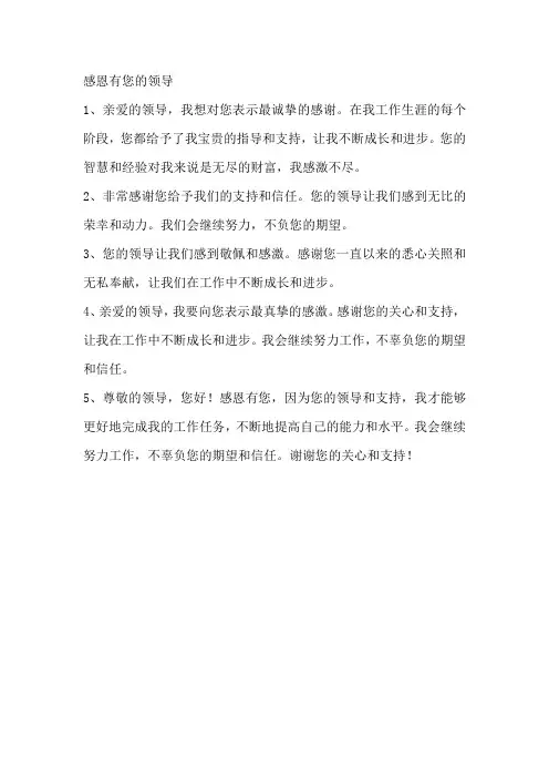 感恩有您的领导