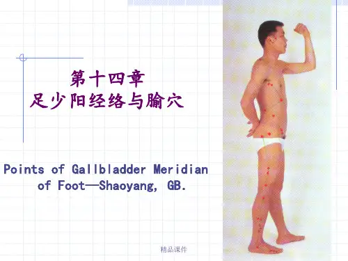 11胆经(1)