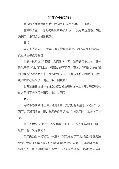 初二作文：留在心中的精彩作文800字