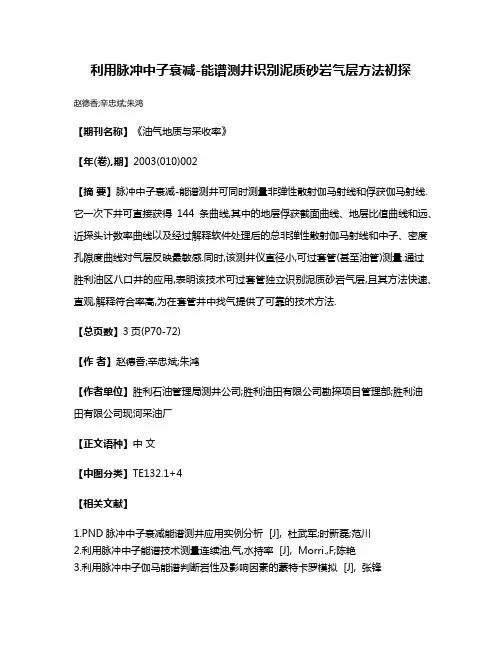 利用脉冲中子衰减-能谱测井识别泥质砂岩气层方法初探