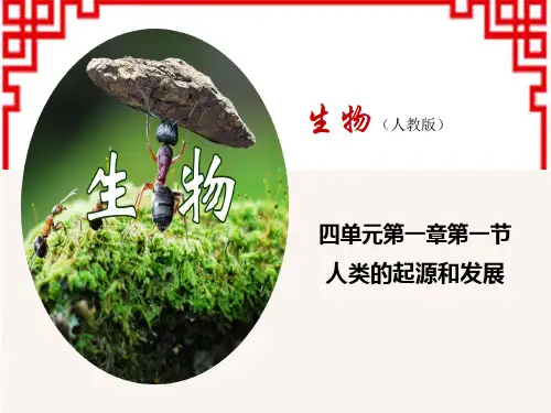 人教版七年级下册 第四单元 第一章 人的由来 人类的起源和发展