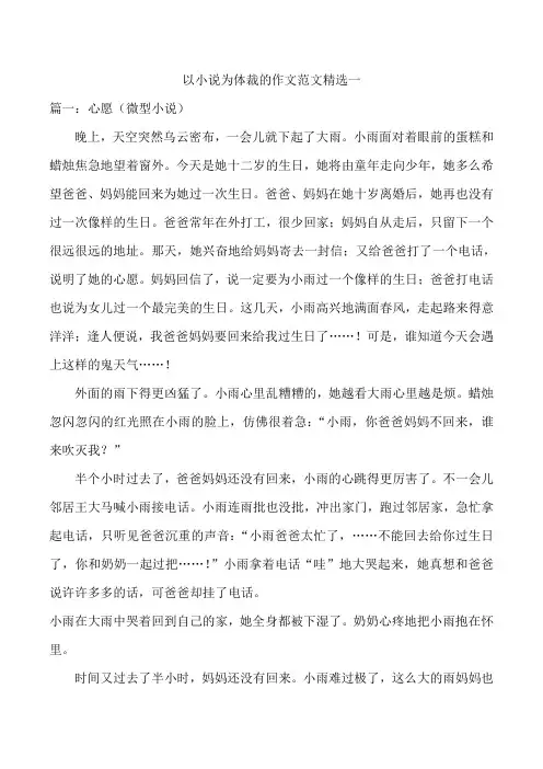 以小说为体裁的作文范文精选一