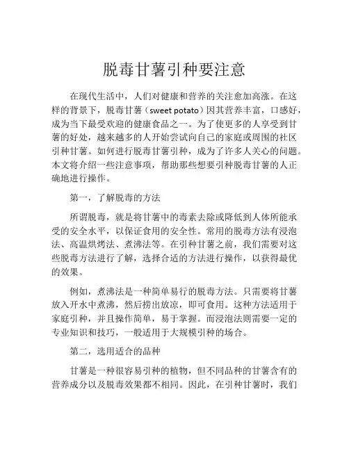 脱毒甘薯引种要注意