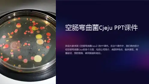 《空肠弯曲菌Cjeju》课件