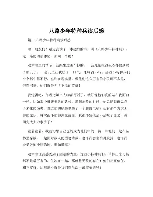 八路少年特种兵读后感