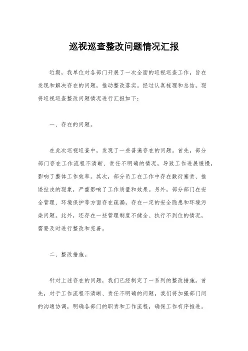 巡视巡查整改问题情况汇报