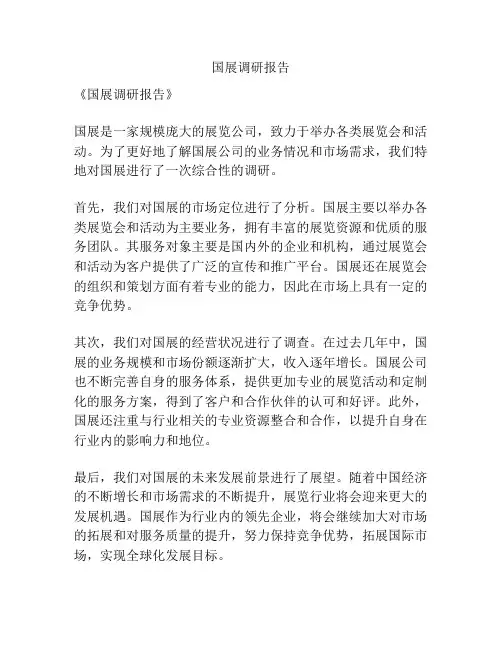国展调研报告