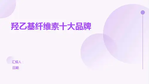 羟乙基纤维素十大品牌