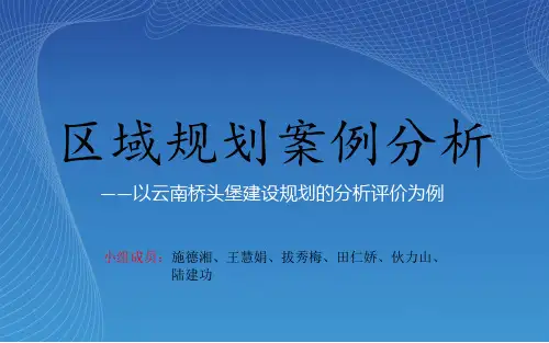 区域规划案例分析完结版.
