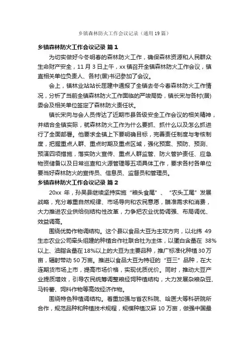 乡镇森林防火工作会议记录（通用19篇）