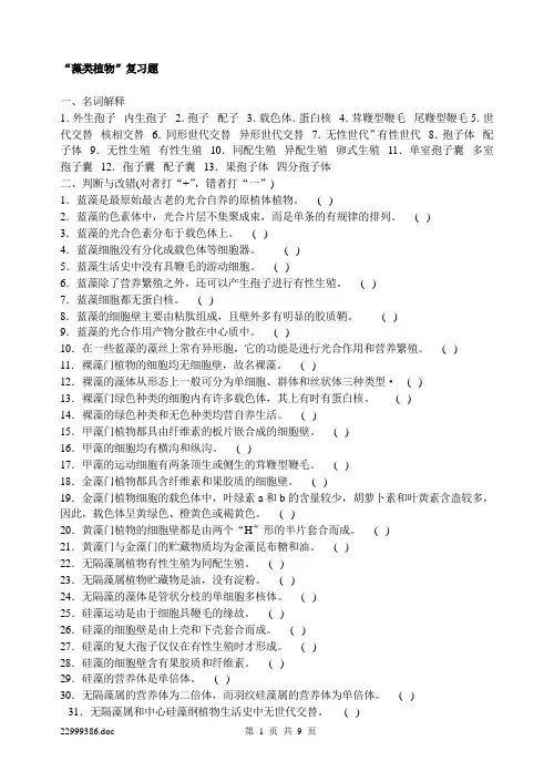 13、藻类植物