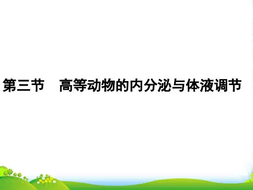 高中生物《高等动物的内分泌系统与体液调节》课件1 浙教必修3