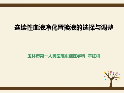 置换液配置与调整