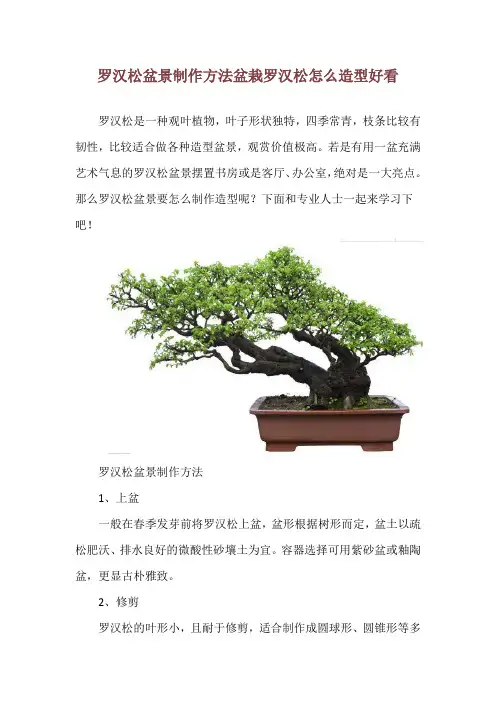 罗汉松盆景制作方法  盆栽罗汉松怎么造型好看