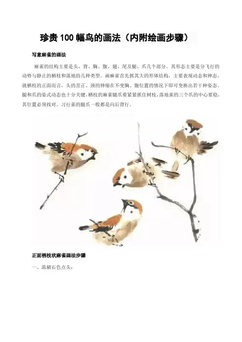 珍贵100幅鸟的画法(内附绘画步骤)