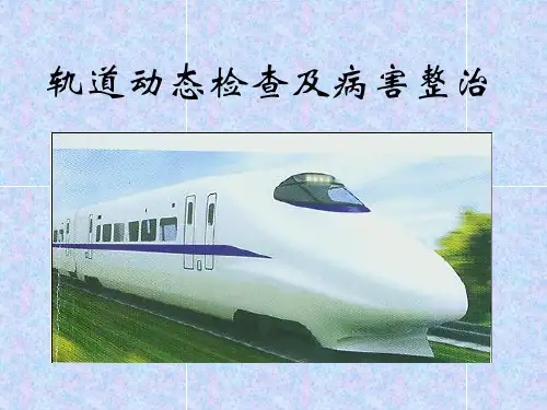 动态检查及病害处理