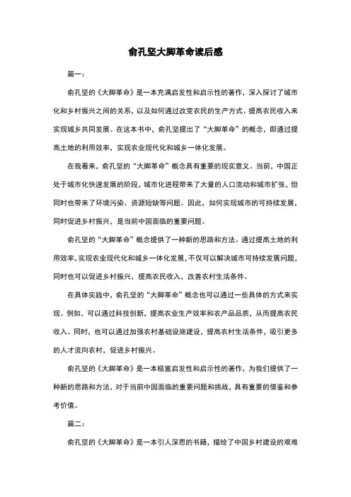 俞孔坚大脚革命读后感