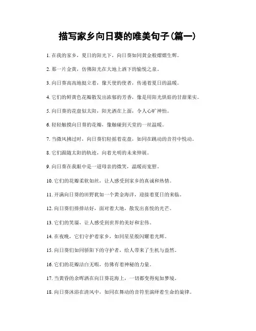 描写家乡向日葵的唯美句子(精选2篇)