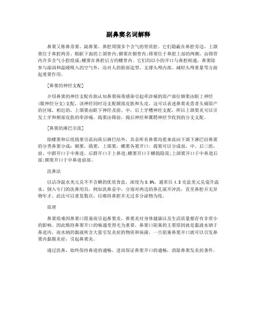 副鼻窦名词解释