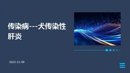传染病---犬传染性肝炎