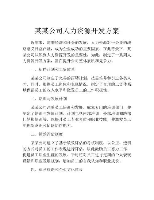 某某公司人力资源开发方案