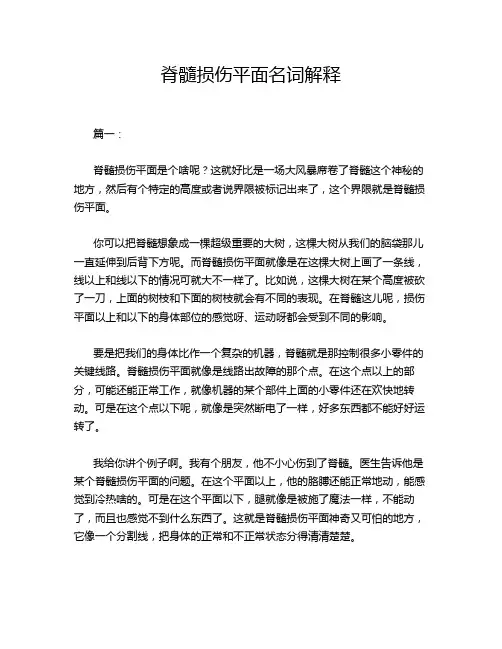 脊髓损伤平面名词解释