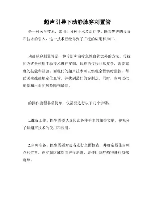 超声引导下动静脉穿刺置管