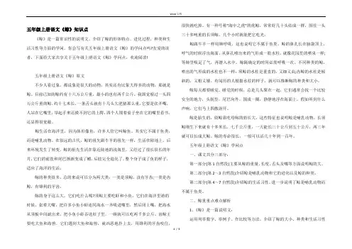 五年级上册语文《鲸》知识点