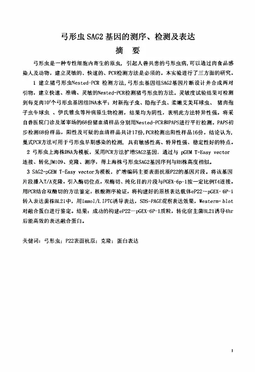 弓形虫SAG2基因的测序、检测及表达论文