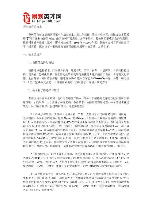 杏快速育苗技术