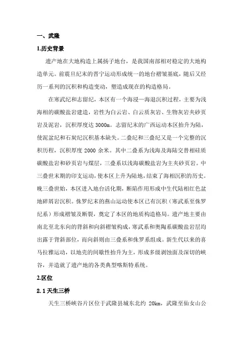 武隆喀斯特现状调研报告