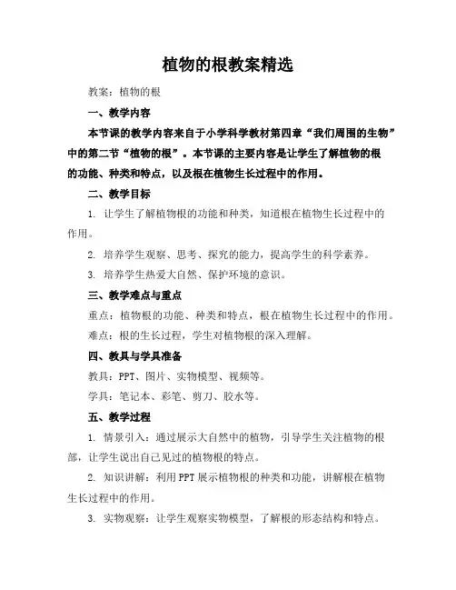 植物的根教案精选