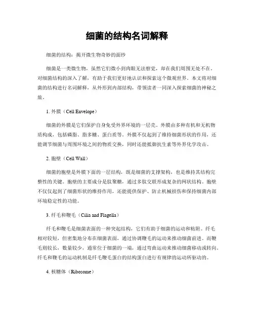 细菌的结构名词解释